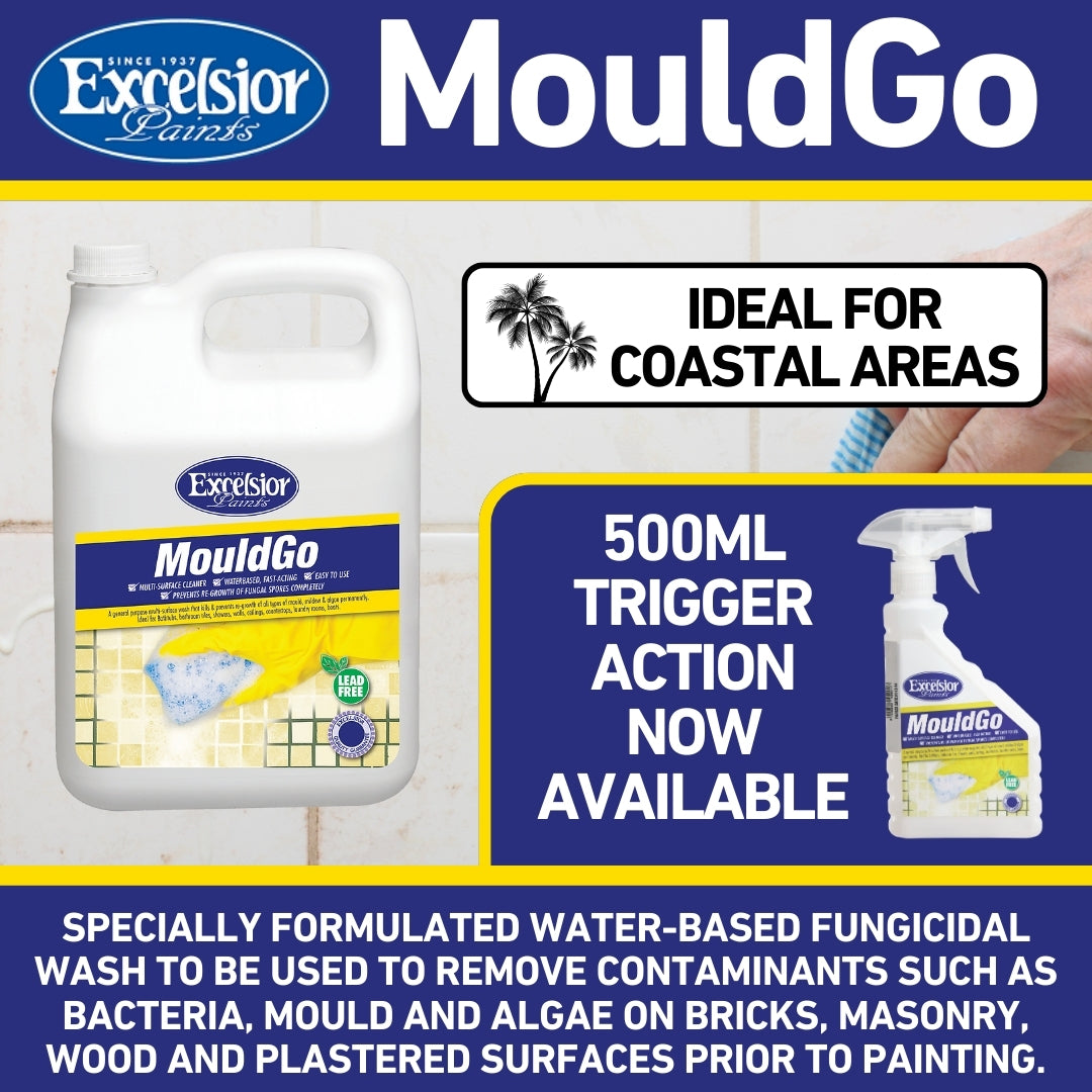 Excelsior Mould Go Cleaning Solvent | BHT Paint Store